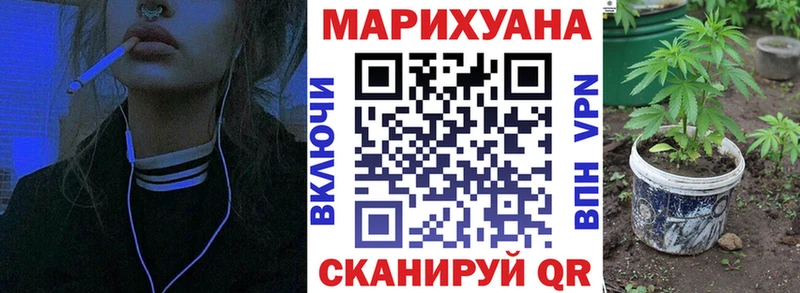 Конопля MAZAR  Южа 